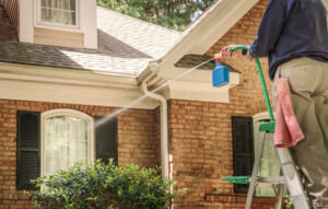 Why You Need Professional Pressure Washing Services