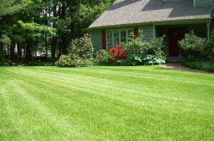 Why Hiring Professional Landscapers Improves Your Outdoor Space