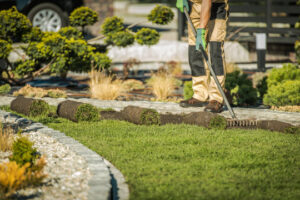 Why Hiring Professional Landscapers Improves Your Outdoor Space