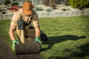 How Professional Landscaping & Outdoor Maintenance Services Enhance Your Property